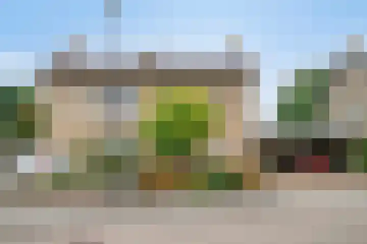 Vlinkert 21 Heusden thumbnail 7