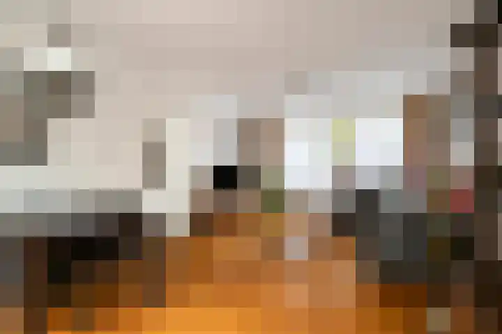 Vlinkert 21 Heusden thumbnail 9