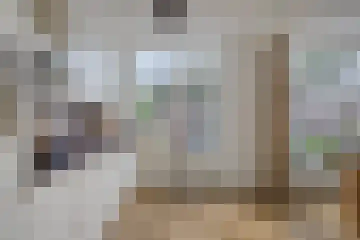 Vlinkert 32 Heusden thumbnail 10