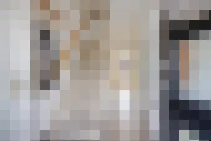 Vlinkert 32 Heusden thumbnail 14