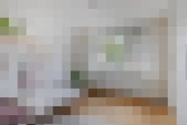 Vlinkert 32 Heusden thumbnail 17