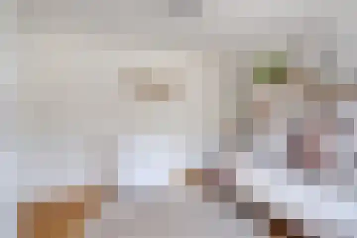 Vlinkert 32 Heusden thumbnail 18