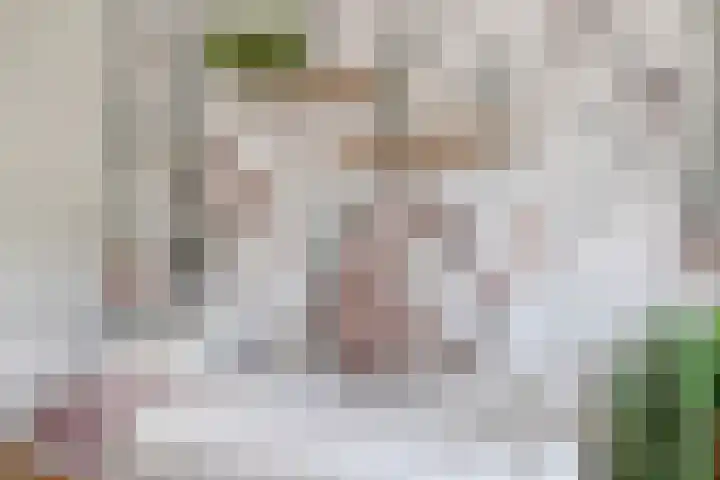 Vlinkert 32 Heusden thumbnail 19