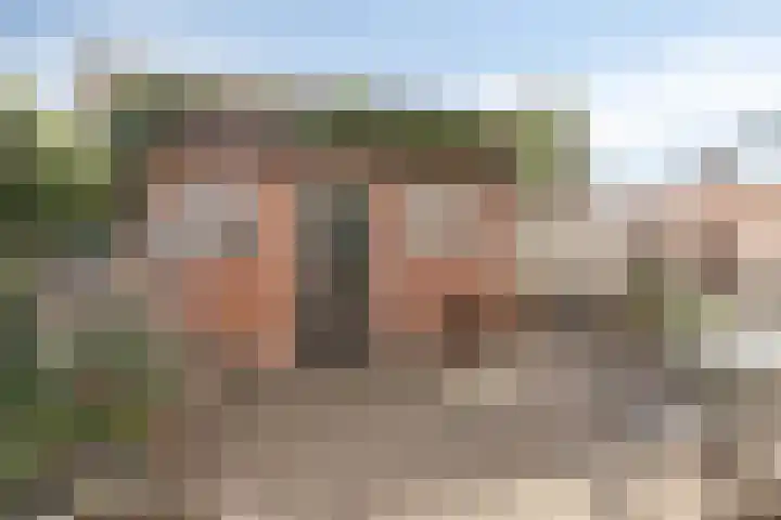 Vlinkert 32 Heusden thumbnail 31
