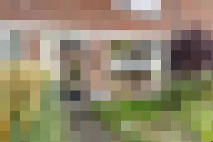 Vlinkert 32 Heusden thumbnail 34