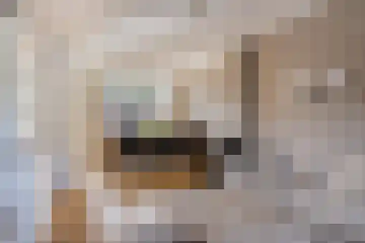 Vlinkert 32 Heusden thumbnail 4