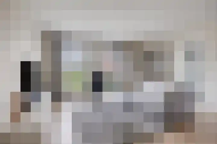 Vlinkert 41 Heusden thumbnail 10