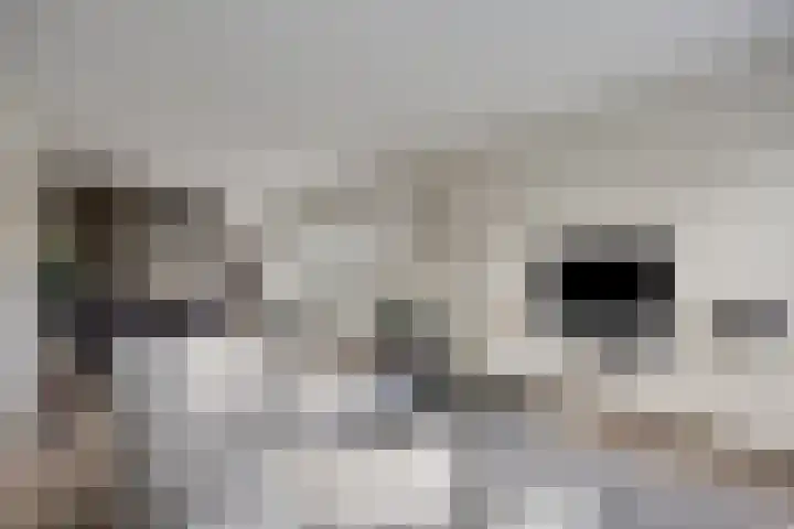 Vlinkert 41 Heusden thumbnail 11