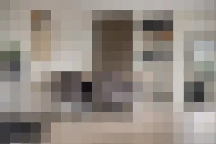 Vlinkert 41 Heusden thumbnail 18