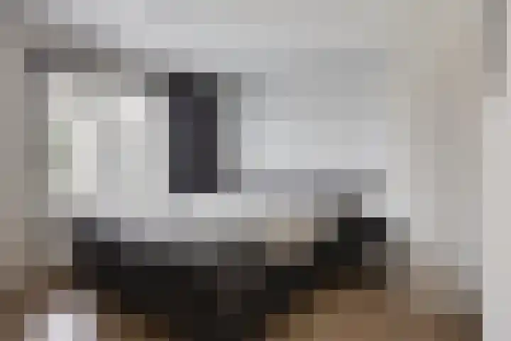 Vlinkert 41 Heusden thumbnail 25