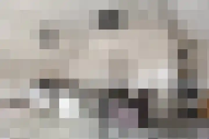 Vlinkert 41 Heusden thumbnail 33
