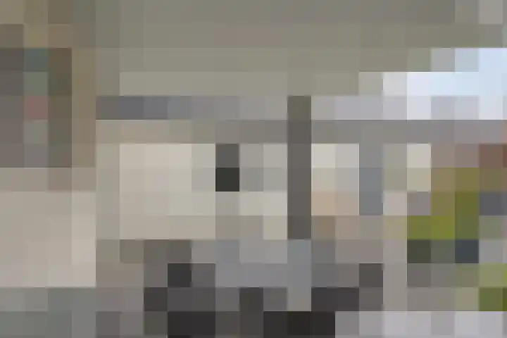 Vlinkert 41 Heusden thumbnail 38