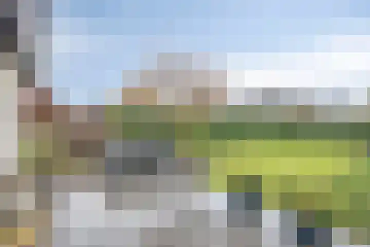 Vlinkert 41 Heusden thumbnail 40