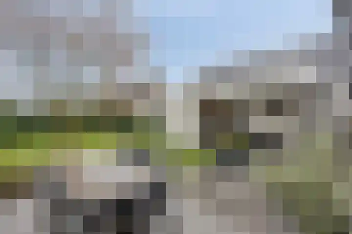 Vlinkert 41 Heusden thumbnail 41