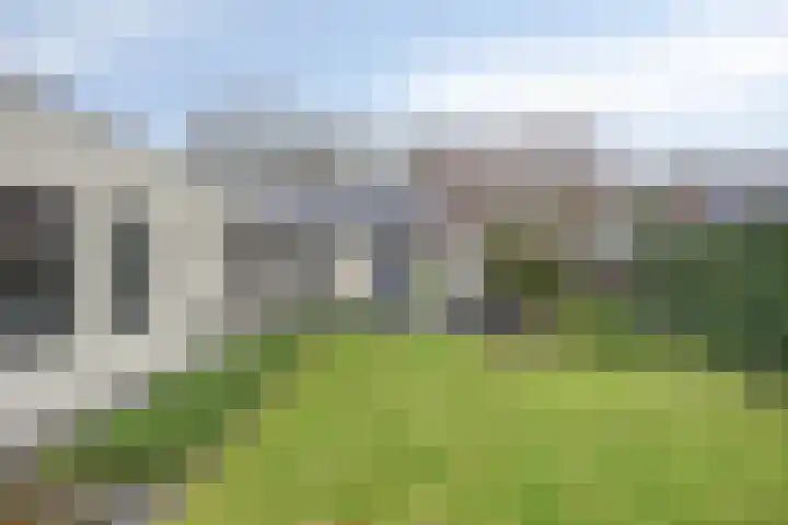 Vlinkert 41 Heusden thumbnail 44
