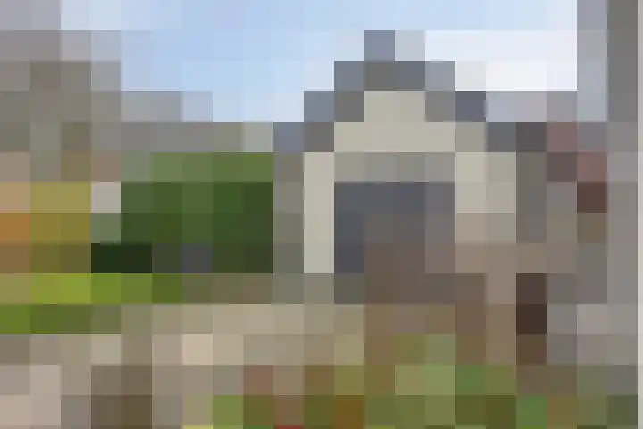 Vlinkert 41 Heusden thumbnail 46