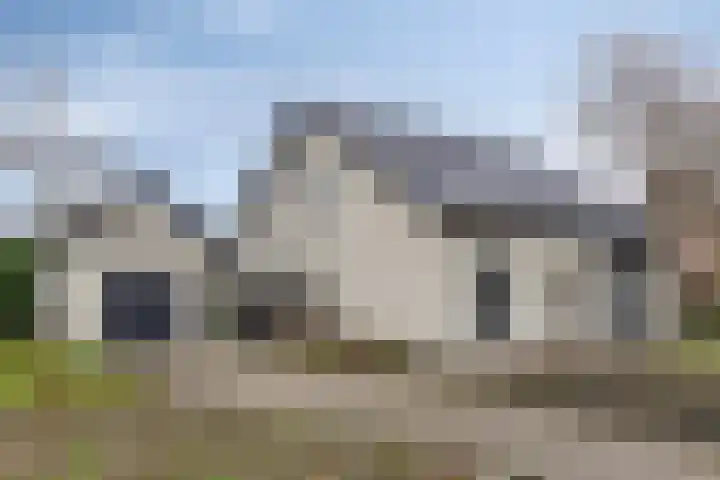 Vlinkert 41 Heusden thumbnail 6