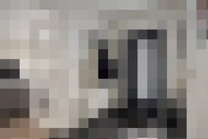 Vlinkert 41 Heusden thumbnail 7