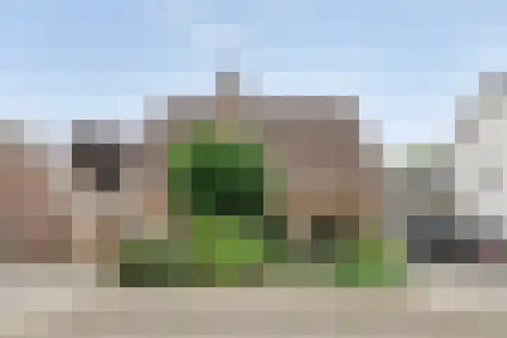 Vlinkert 69 en Heusden