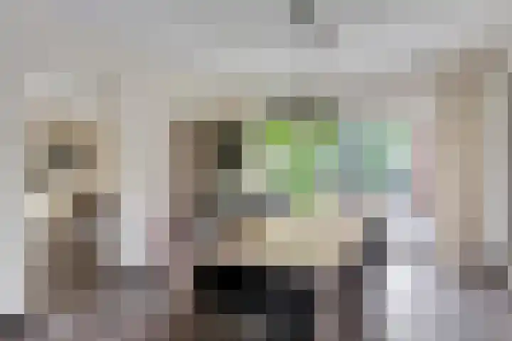 Vlinkert 69 Heusden thumbnail 11