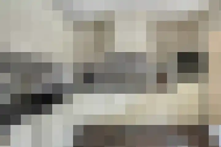 Vlinkert 69 Heusden thumbnail 14