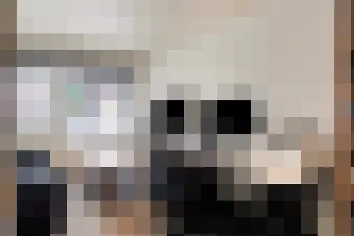 Vlinkert 69 Heusden thumbnail 17
