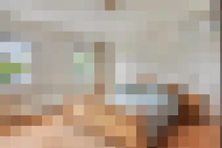 Vlinkert 69 Heusden thumbnail 20