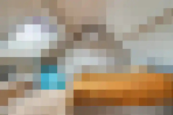 Vlinkert 69 Heusden thumbnail 30