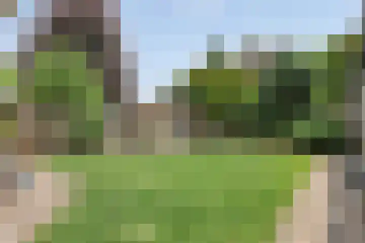 Vlinkert 69 Heusden thumbnail 33