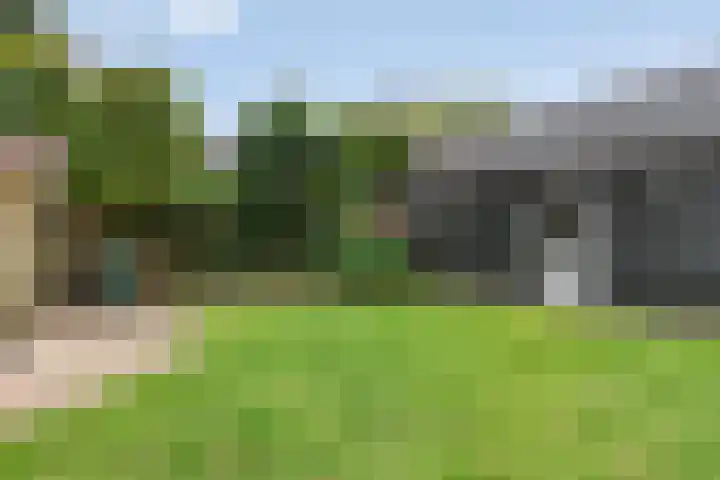 Vlinkert 69 Heusden thumbnail 34
