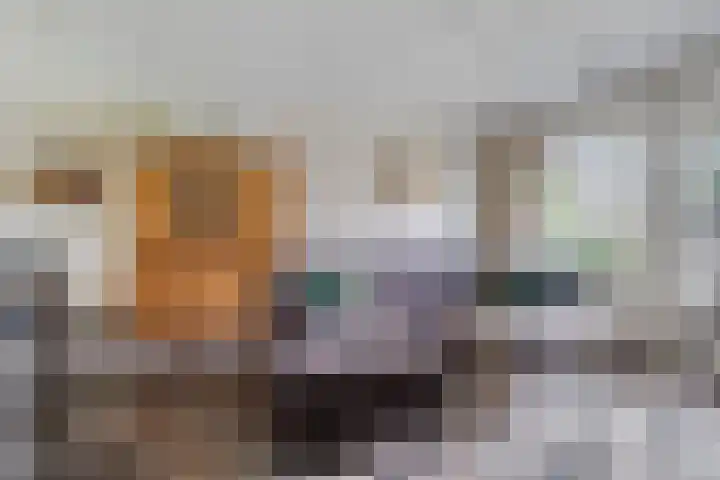 Vlinkert 69 Heusden thumbnail 9