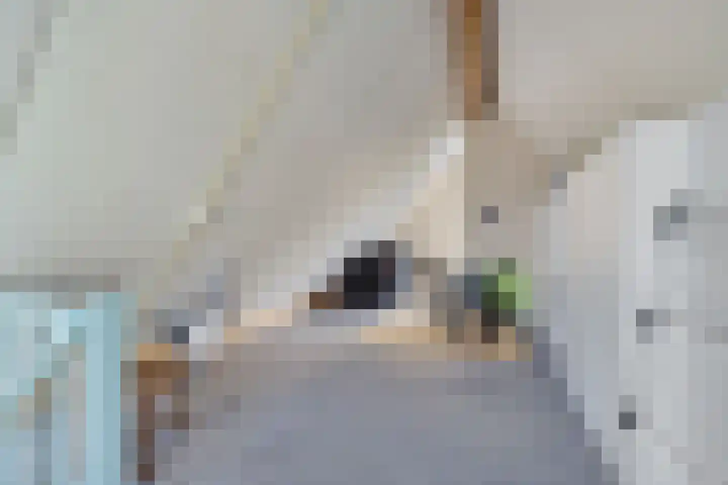 Vlintdreef 12 Assen thumbnail 26