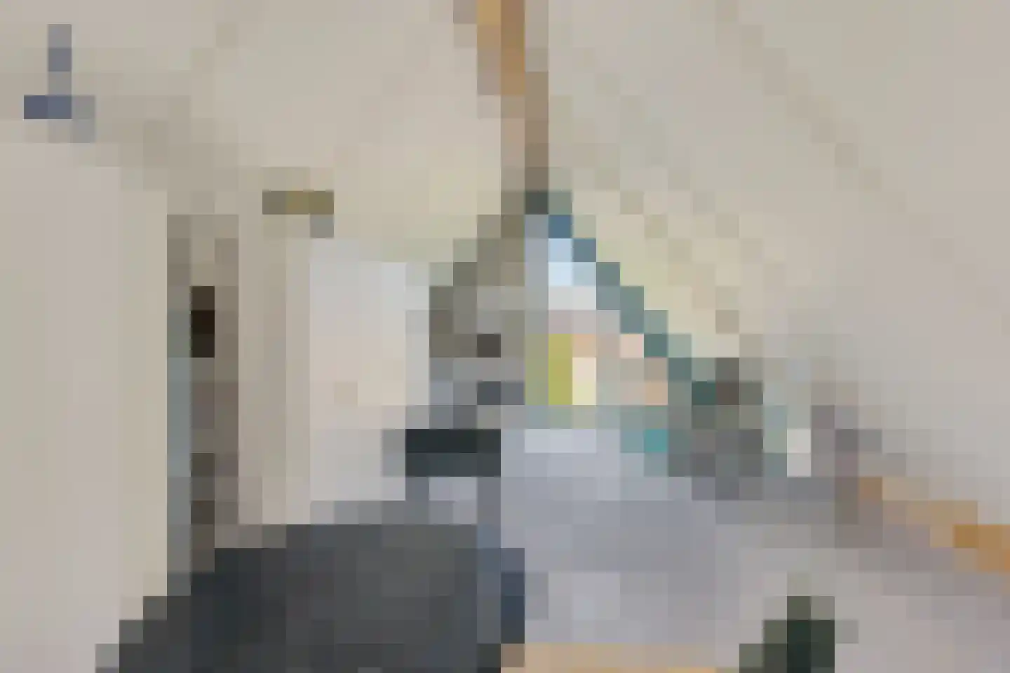 Vlintdreef 12 Assen thumbnail 27