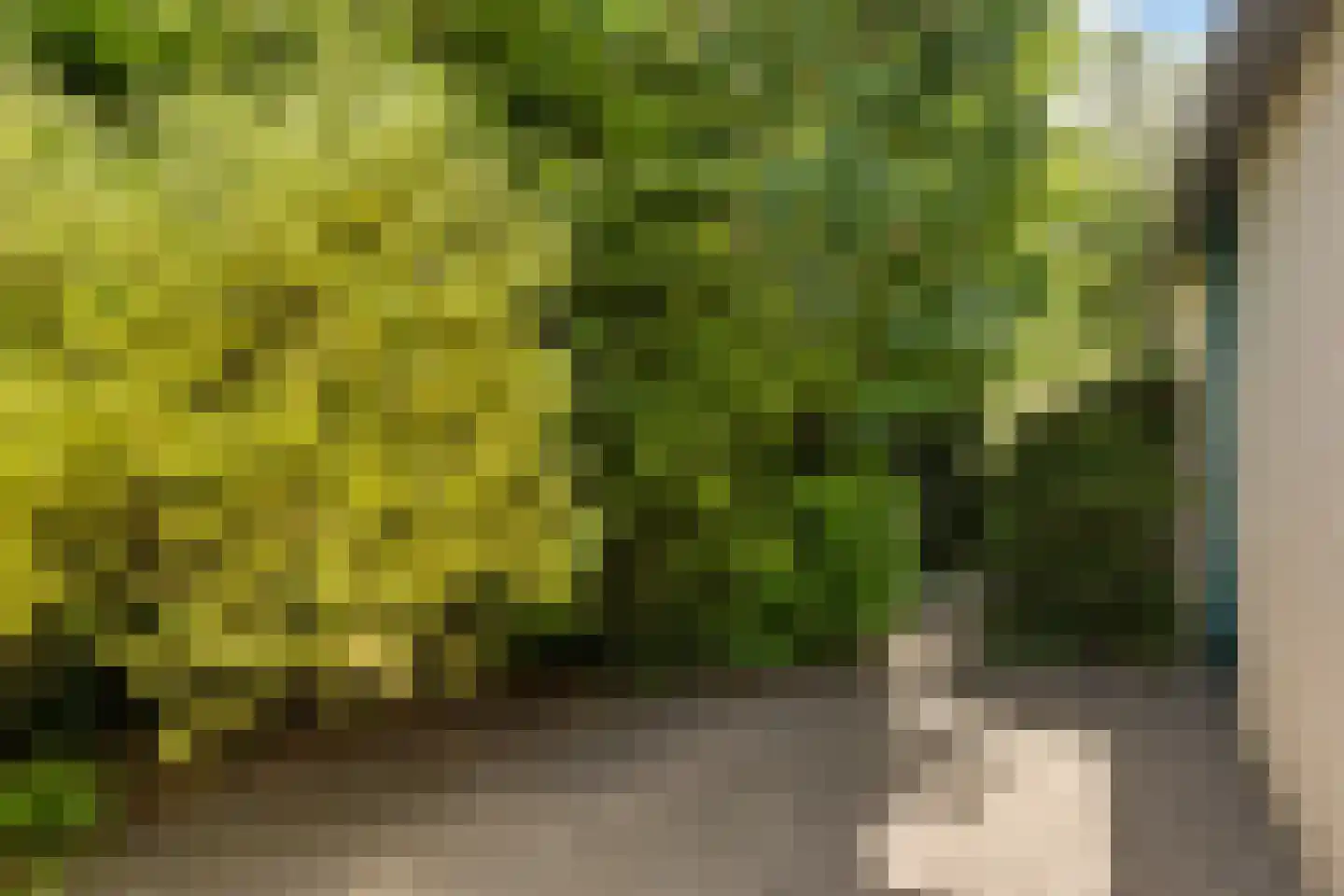 Vlintdreef 12 Assen thumbnail 28