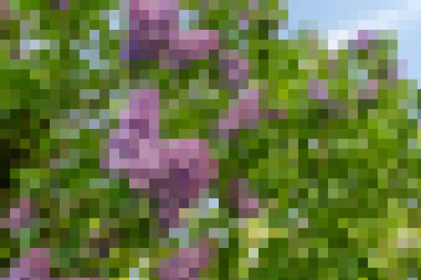 Vlintdreef 12 Assen thumbnail 29