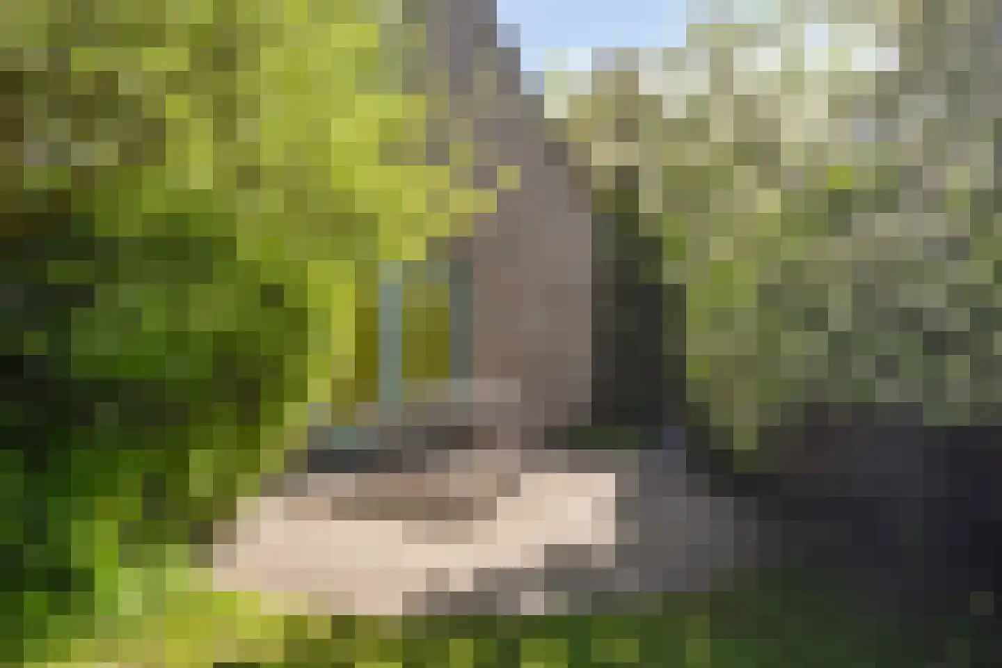 Vlintdreef 12 Assen thumbnail 32