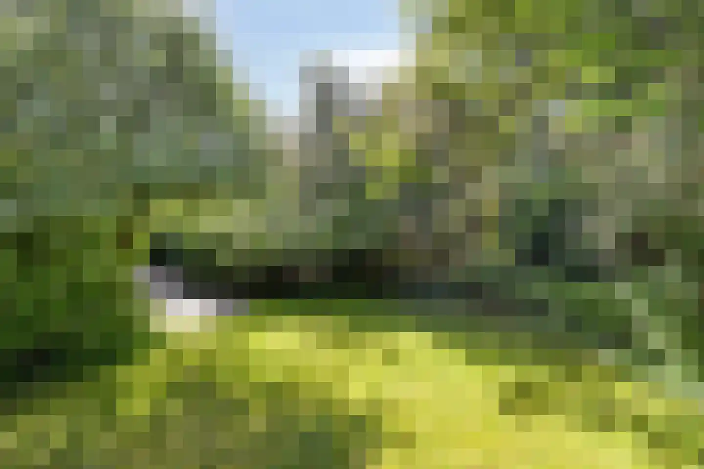 Vlintdreef 12 Assen thumbnail 33