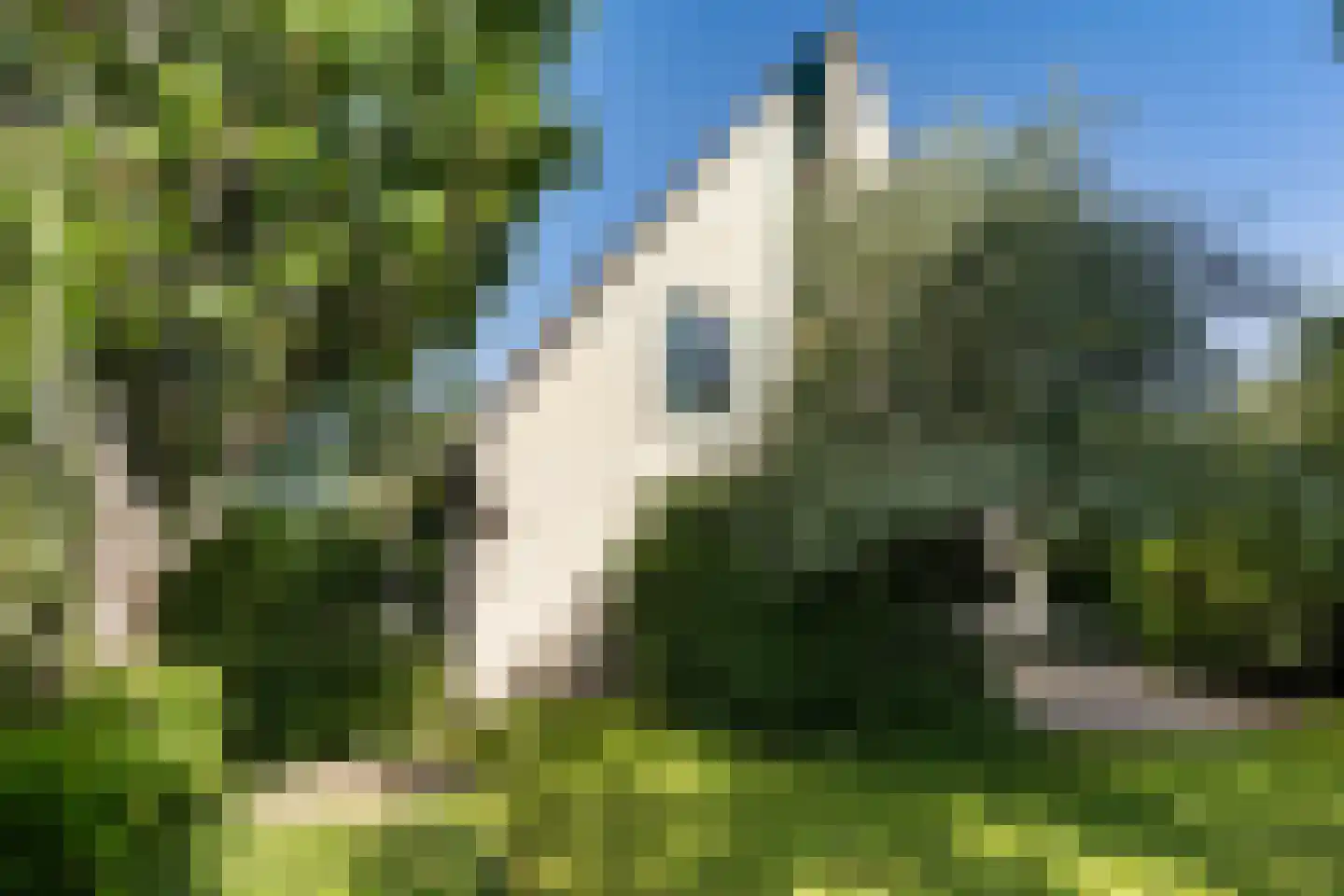 Vlintdreef 12 Assen thumbnail 34