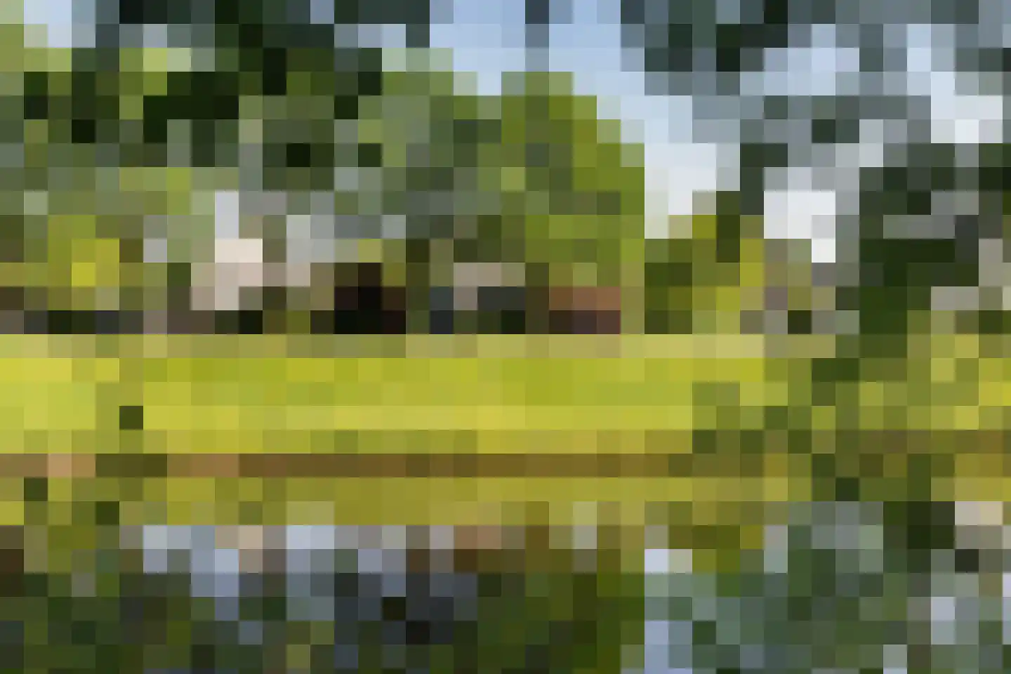 Vlintdreef 12 Assen thumbnail 35