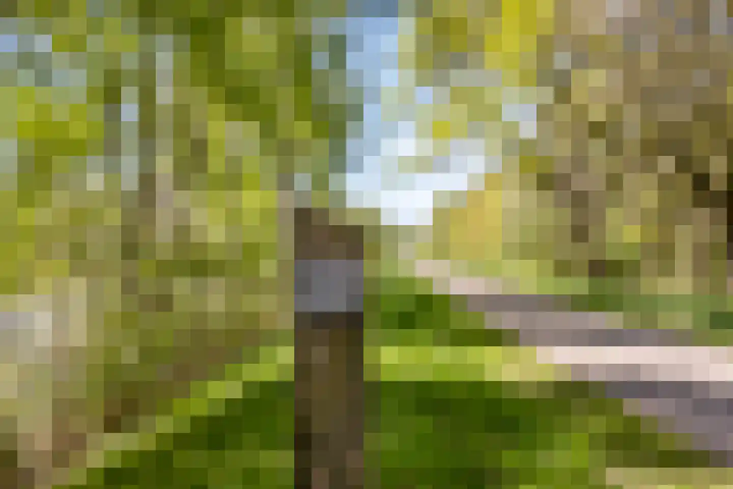 Vlintdreef 12 Assen thumbnail 37