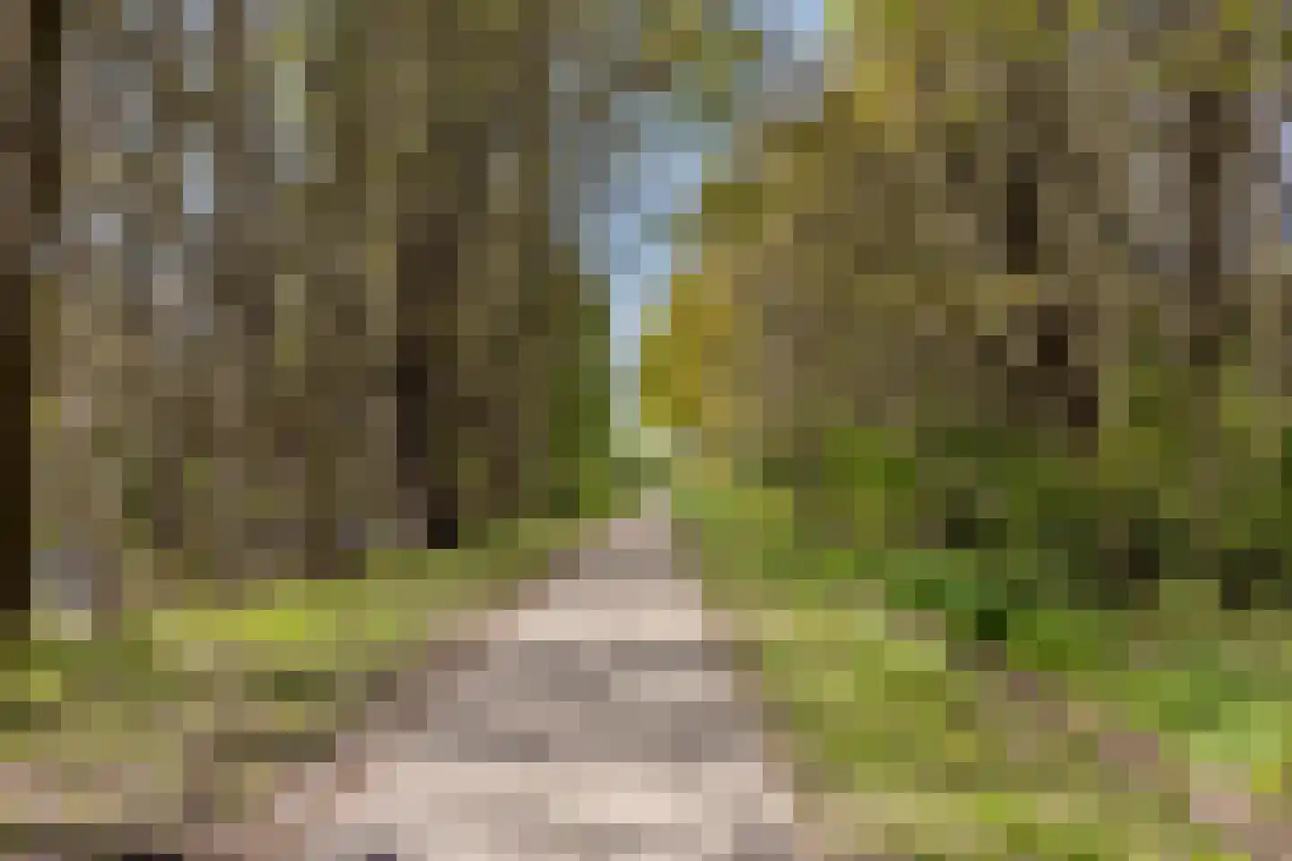 Vlintdreef 12 Assen thumbnail 38