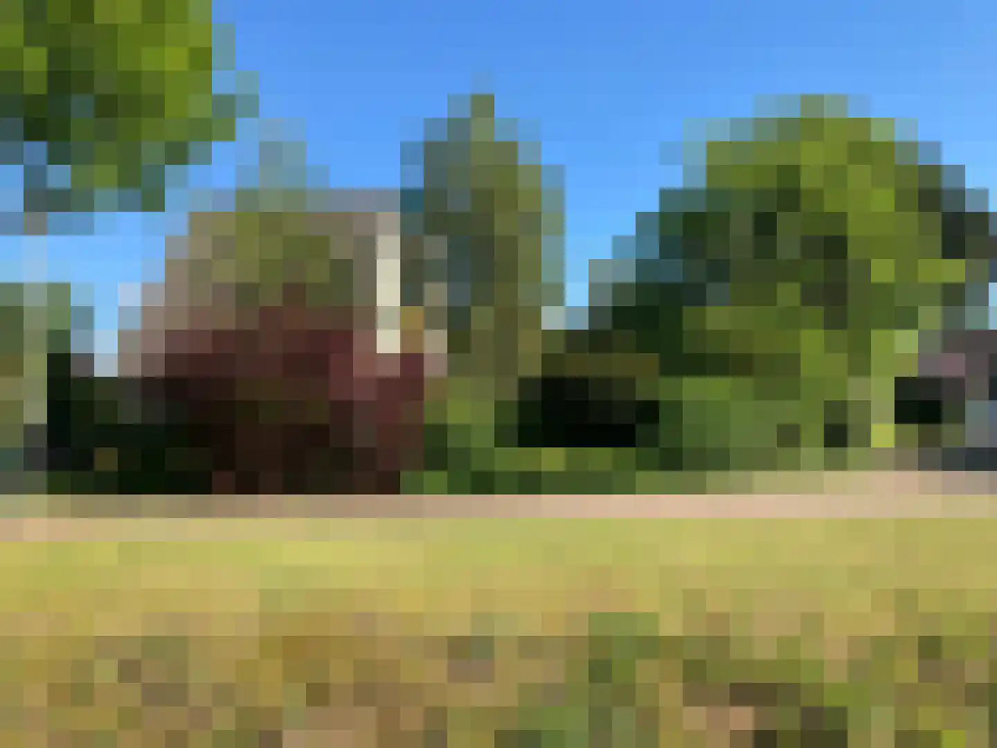 Vlintdreef 12 Assen thumbnail 40