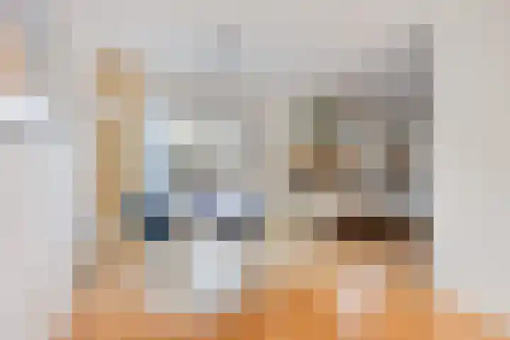 Vlintdreef 26 Assen thumbnail 15
