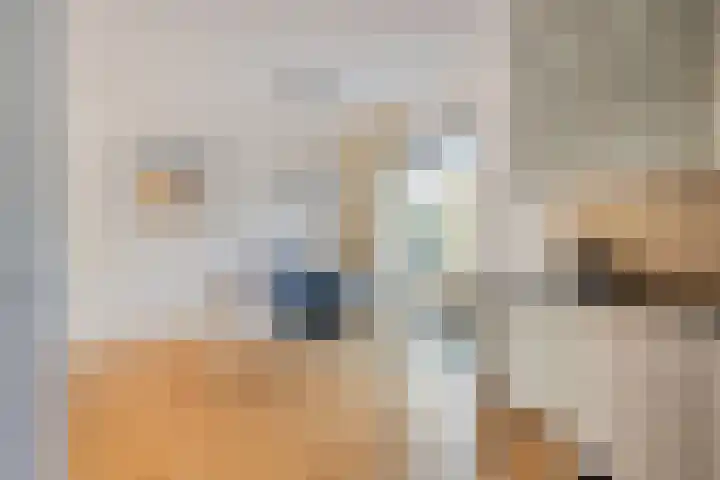 Vlintdreef 26 Assen thumbnail 16