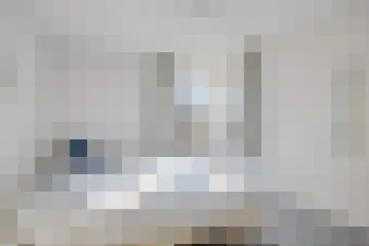 Vlintdreef 26 Assen thumbnail 22