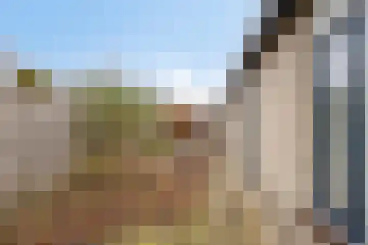 Vlintdreef 26 Assen thumbnail 33
