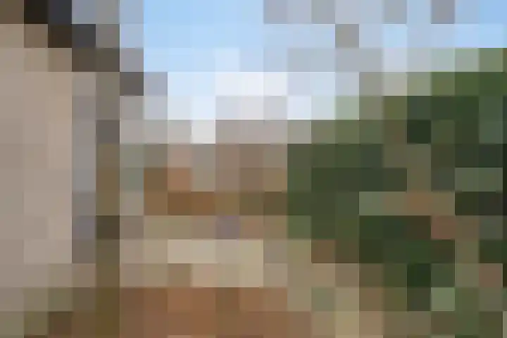 Vlintdreef 26 Assen thumbnail 40