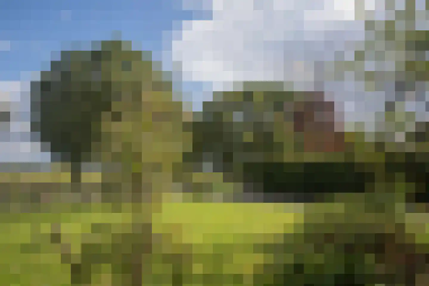 Vlintweg 28 Valthe thumbnail 101