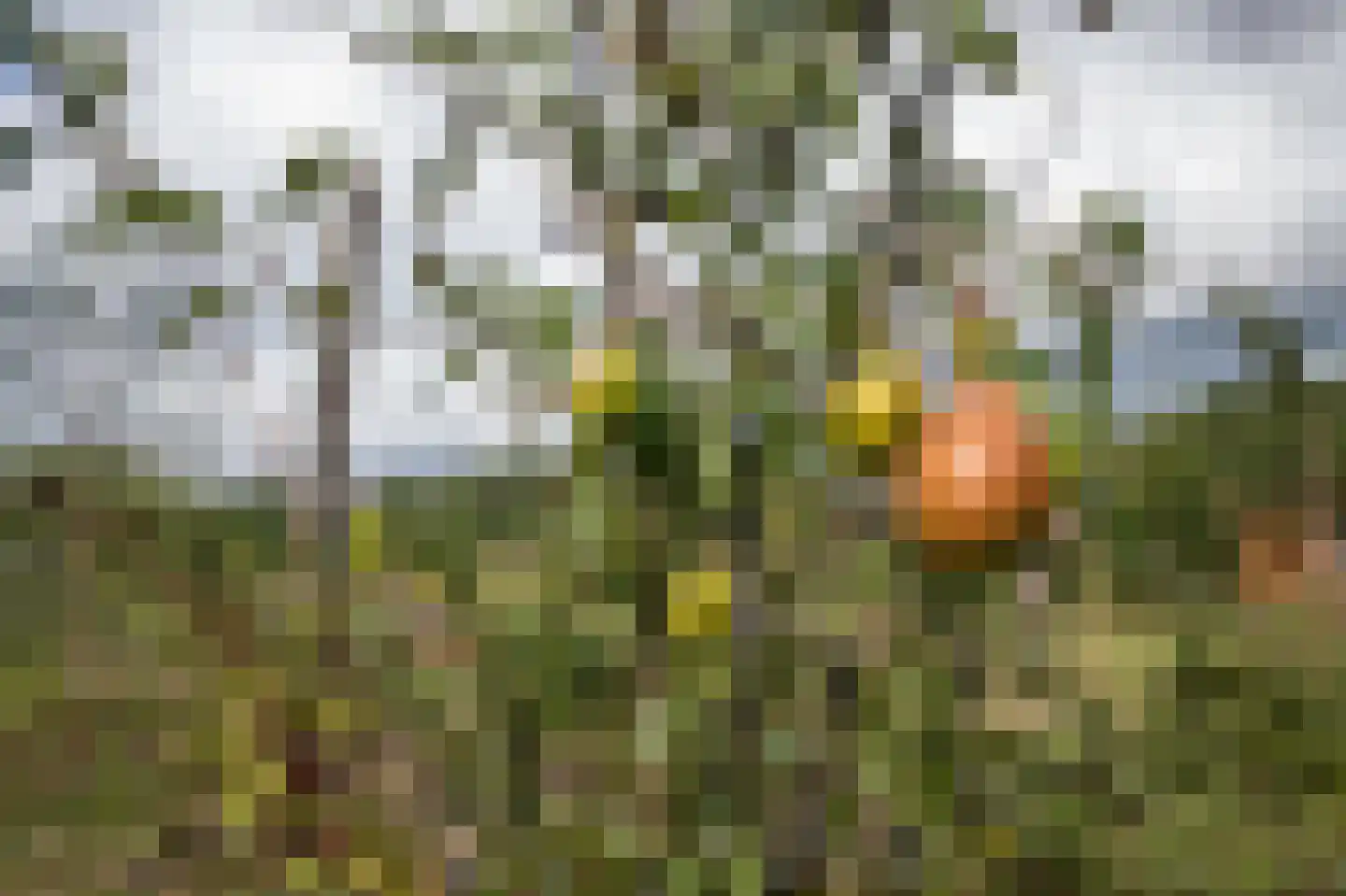 Vlintweg 28 Valthe thumbnail 62