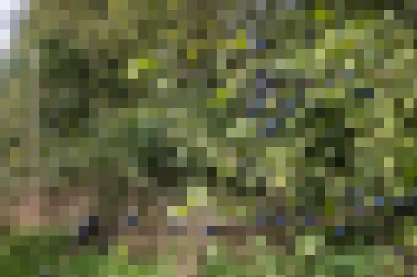 Vlintweg 28 Valthe thumbnail 63